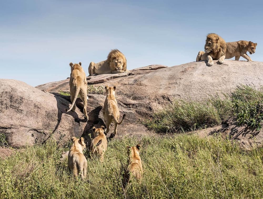 Seronera Central Serengeti