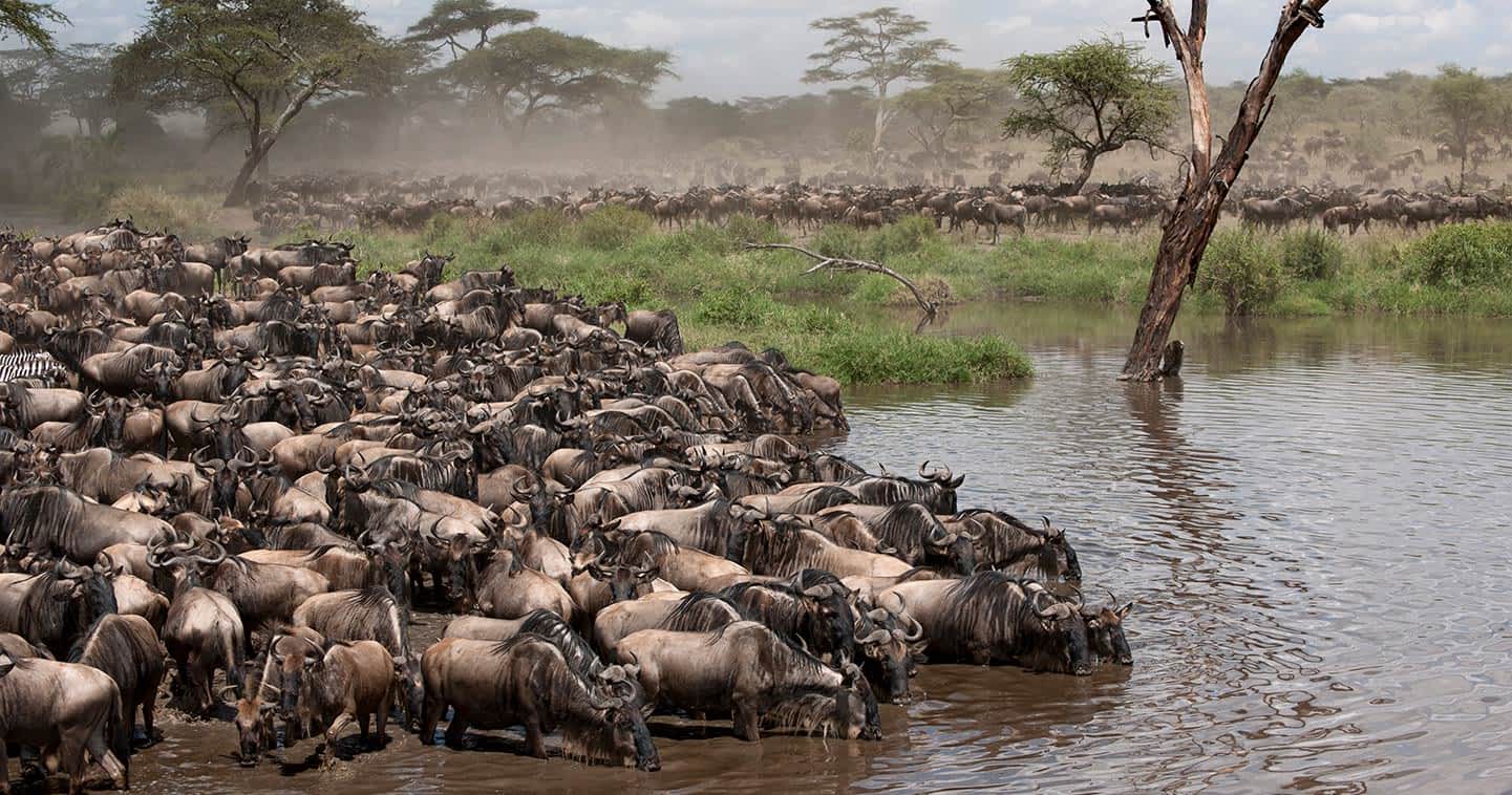 Grumeti Western Serengeti