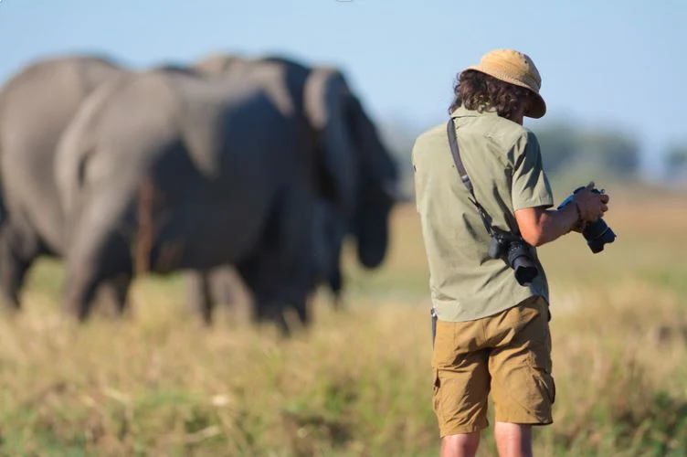 Photography Safari
