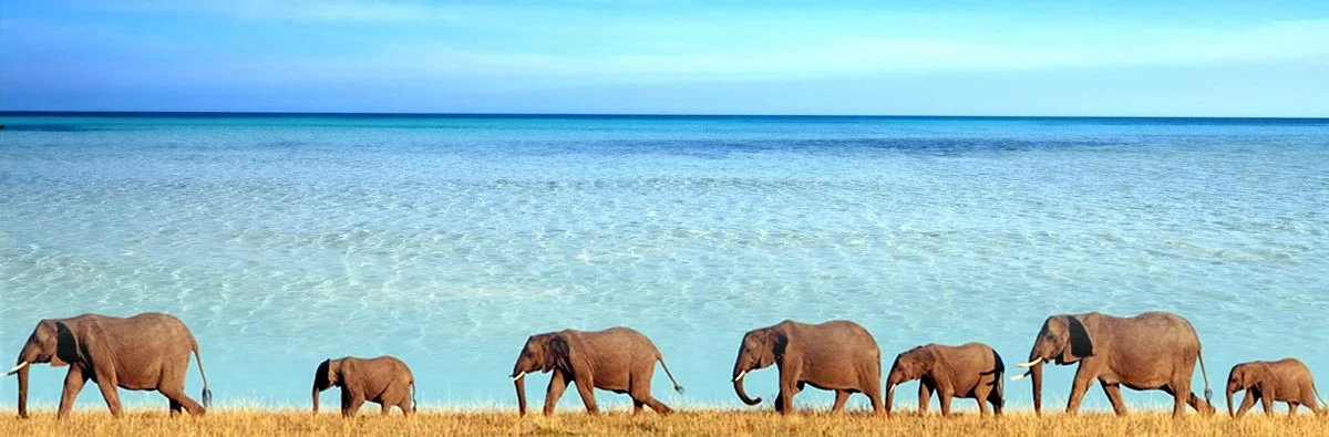 Saadani National Park, photo 1 of 2