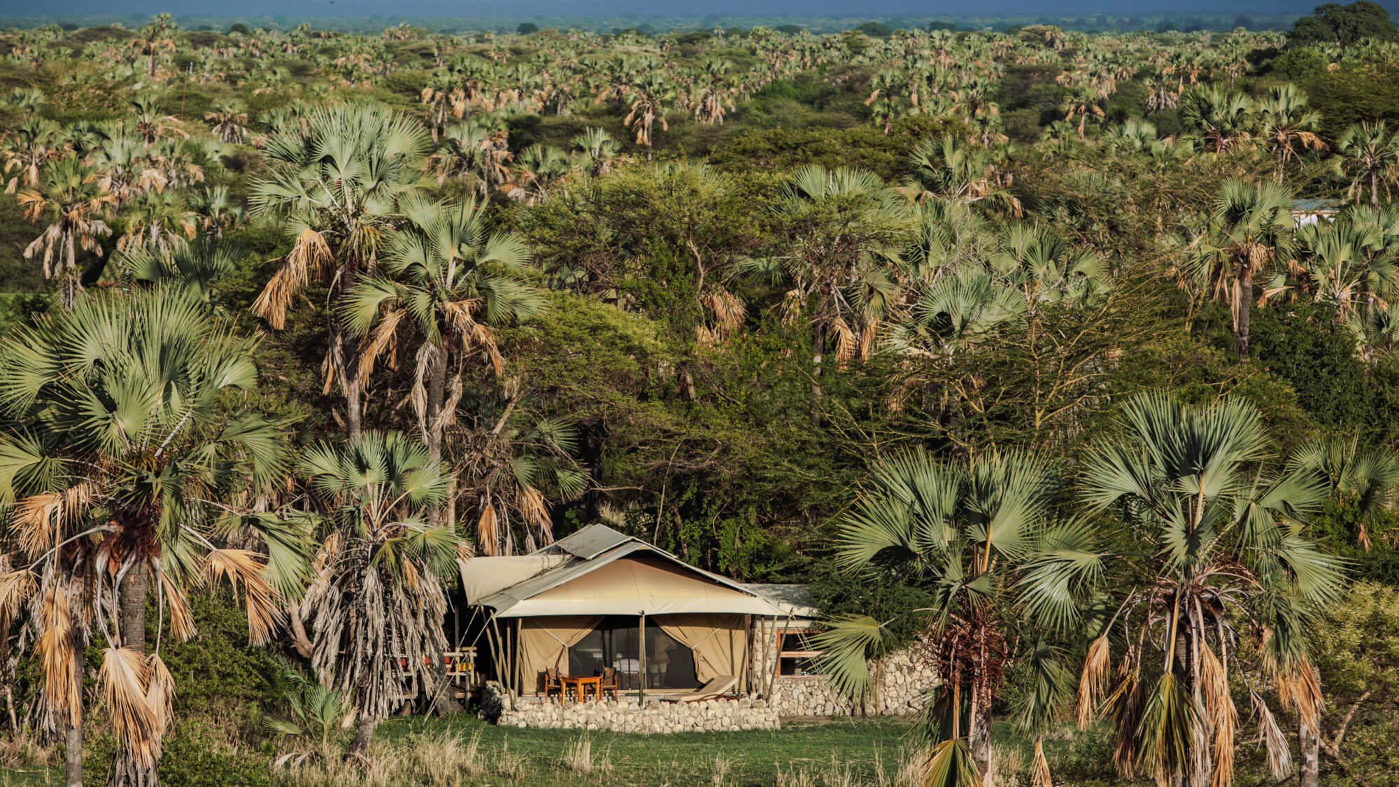 A Chem Chem Lodge tent set among palm trees
