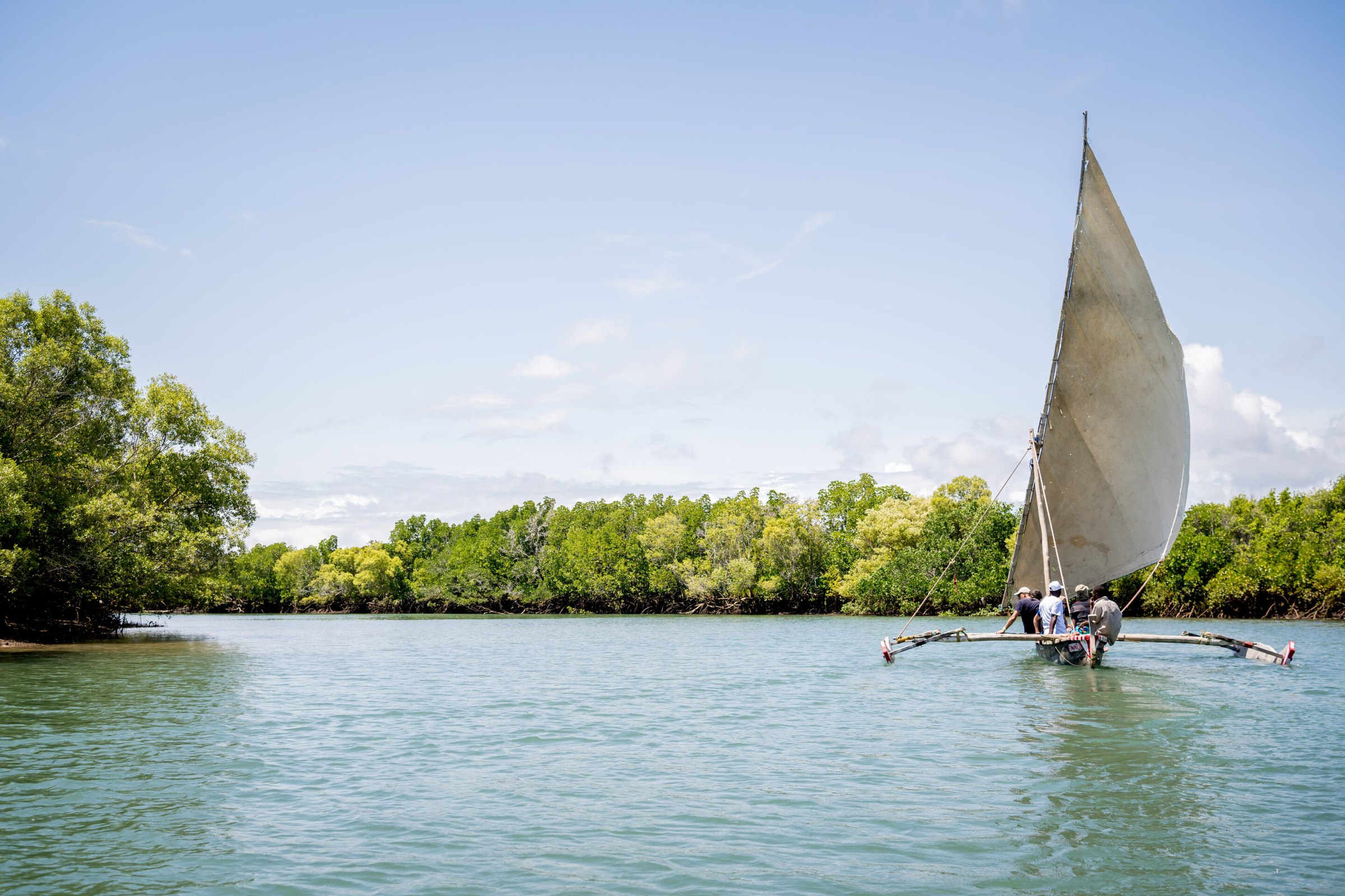 Traditional outrigger sailing canoe on calm water beside the mangroves near Saadani Kasa Bay