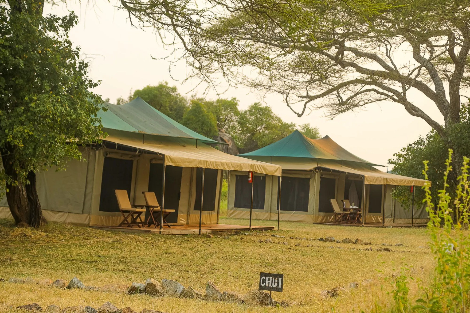 Guest tents with shaded verandas at Kisura Serengeti Camp