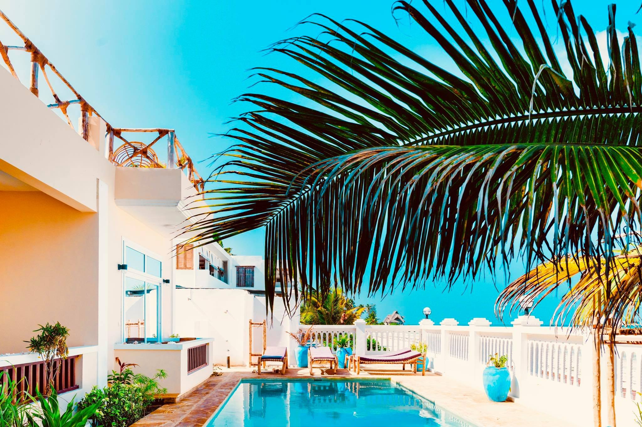 Mambo Paradise