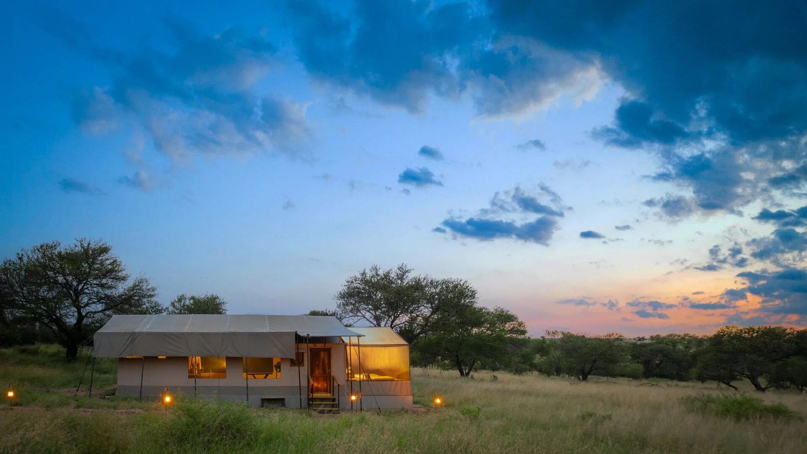 Olakira Migration Camp stargazing guest tent at dusk on open grassland