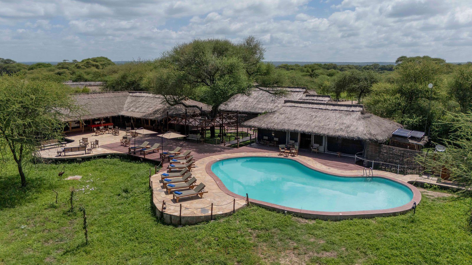 Tarangire Simba Tented Lodge by Simba Portfolio