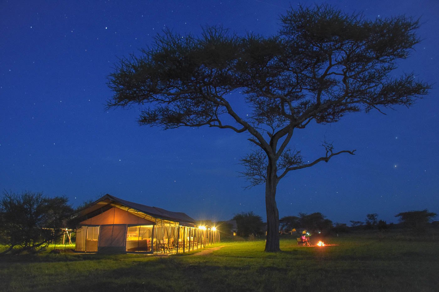 Thorn Tree Camp, photo 2 of 5