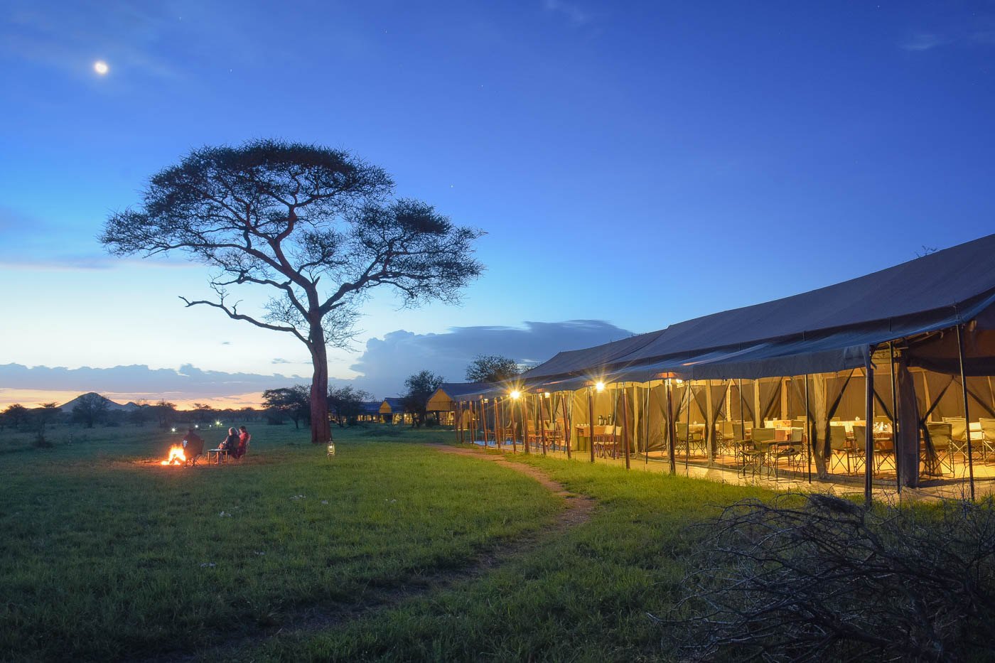Thorn Tree Camp