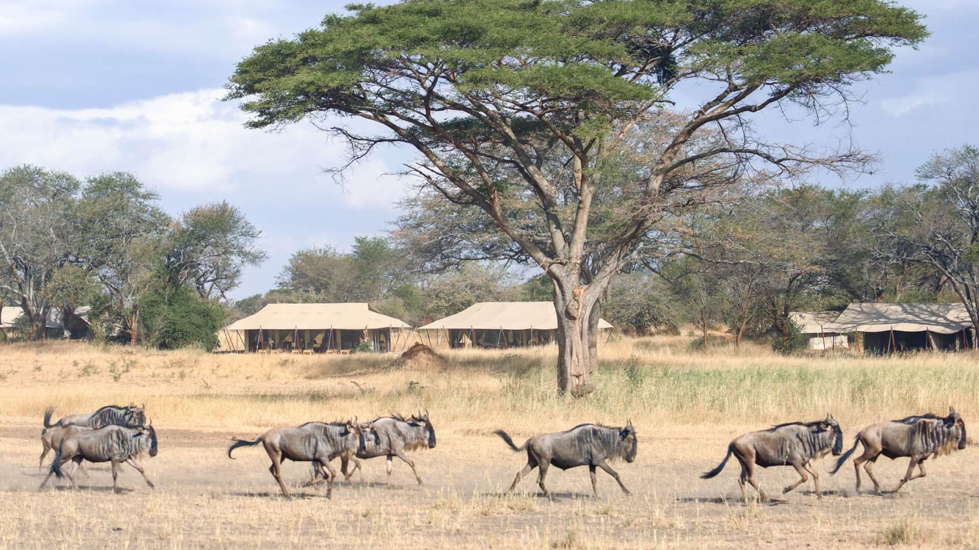 Ubuntu Migration Camp North